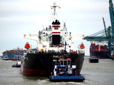 Palau (ship, 2003), IMO 9261035, Zandvlietsluis, Port of Antwerp pic8