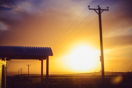 Sunset landscape yellow sunny photo