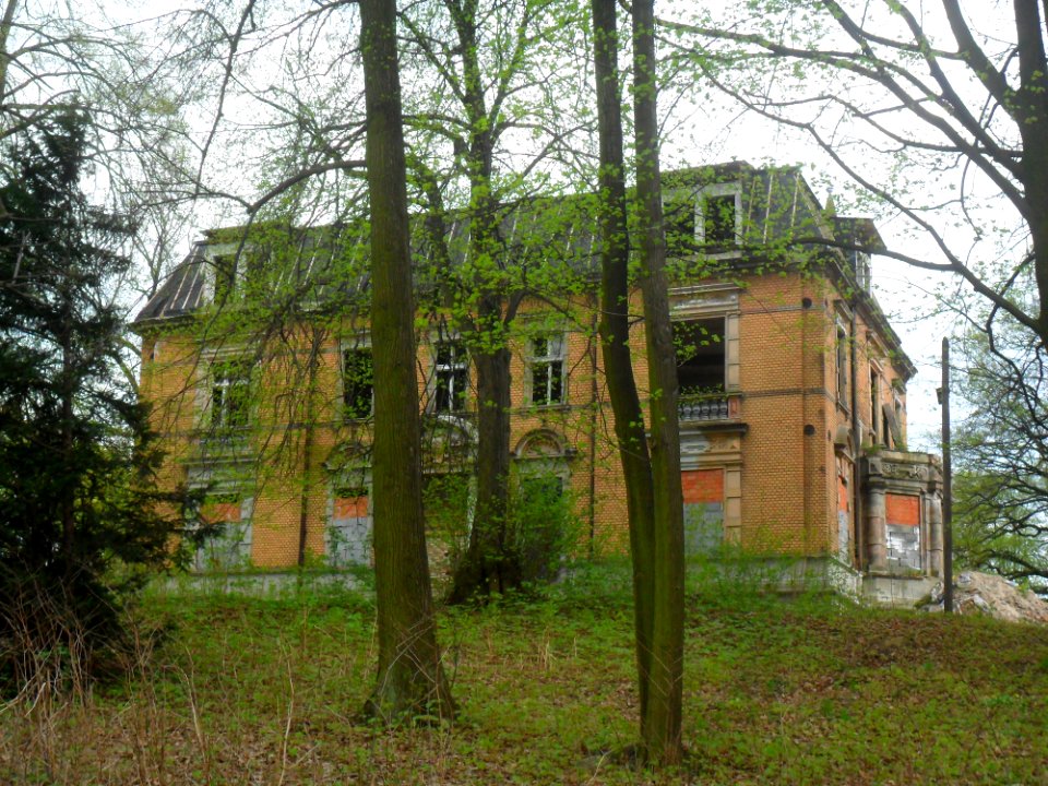 Palac-w-rzuchowie4