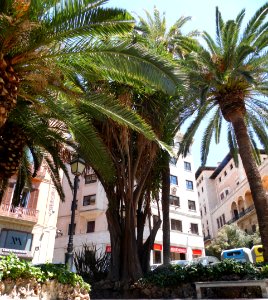 PALMA de MALLORCA, AB-067