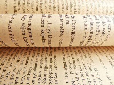 Old book pages page