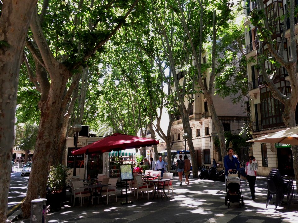PALMA de MALLORCA, AB-039