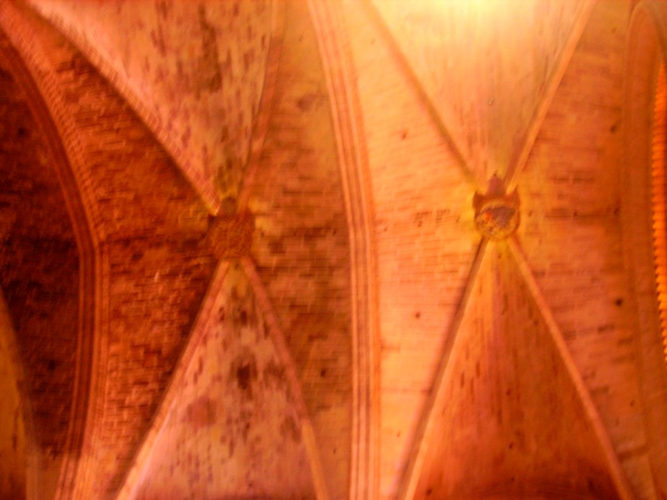 Palma de Mallorca Catedral La Seu Innen Gewölbe 4