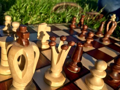 Wood board playing