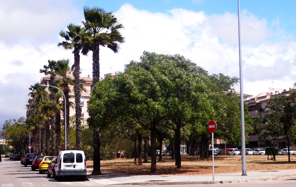 PALMA de MALLORCA, AB-004