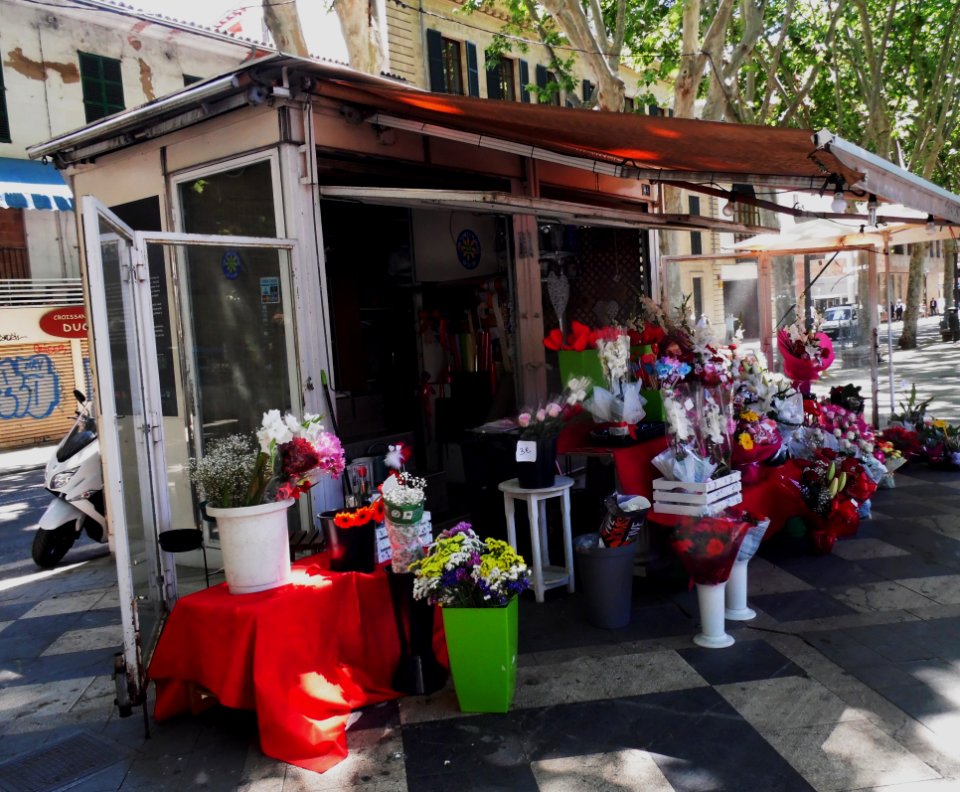 PALMA de MALLORCA, AB-032
