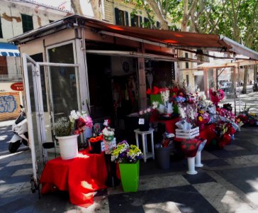 PALMA de MALLORCA, AB-032