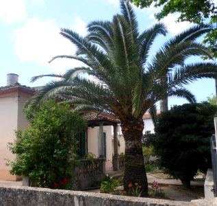 PALMA de MALLORCA, AB-003