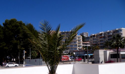 PALMA de MALLORCA, AB-317