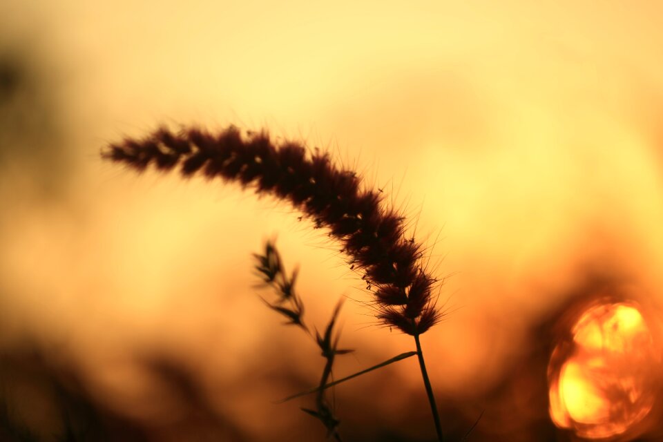 Landscape nature travel