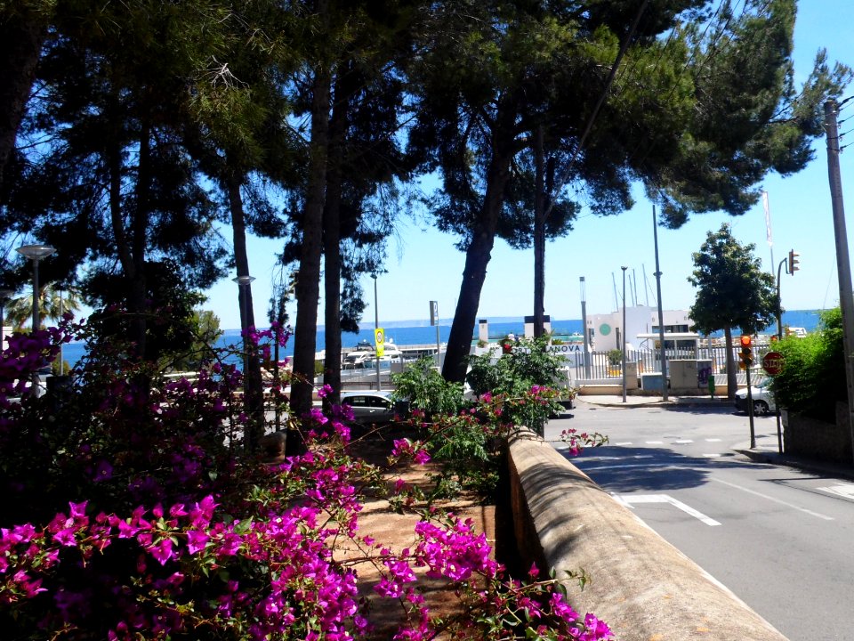 PALMA de MALLORCA, AB-362