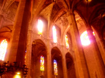 Palma de Mallorca Catedral La Seu Innen Gewölbe 2
