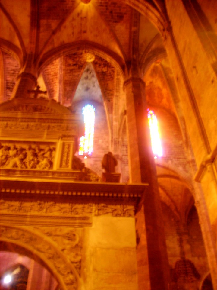 Palma de Mallorca Catedral La Seu Innen Gewölbe 1