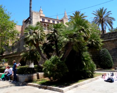 PALMA de MALLORCA, AB-086
