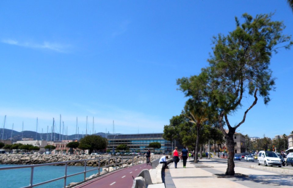 PALMA de MALLORCA, AB-097