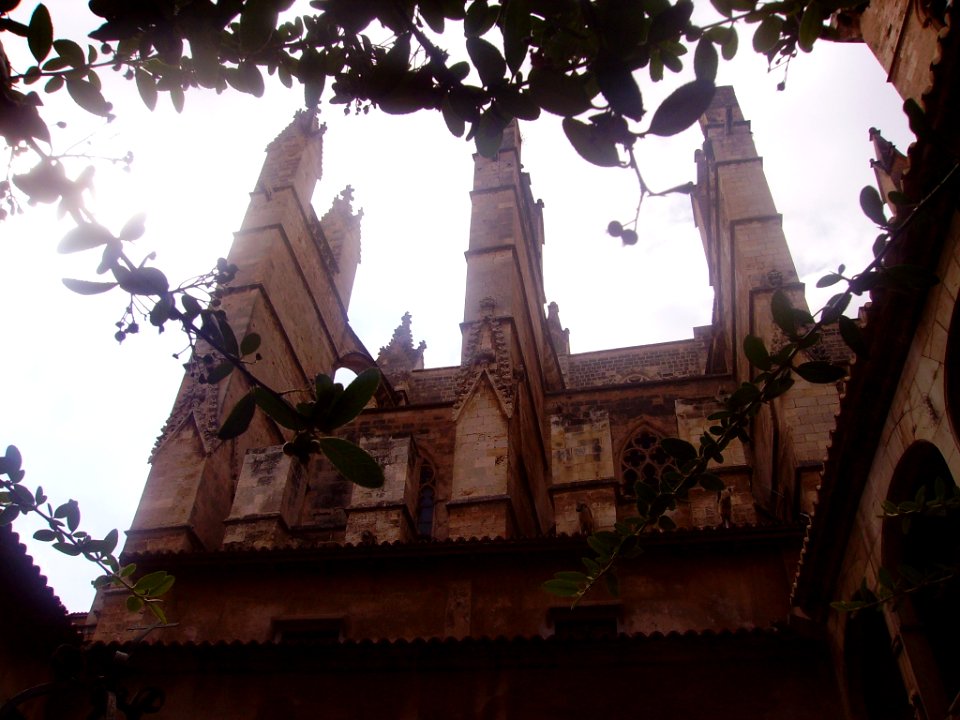 Palma de Mallorca Catedral La Seu Strebebögen 1