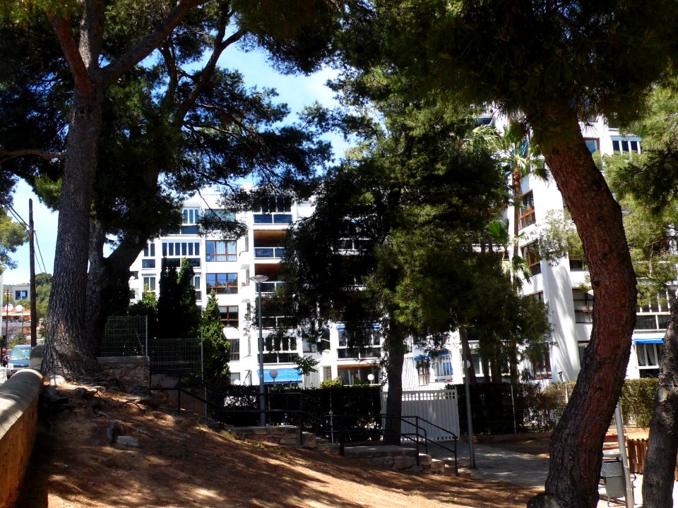 PALMA de MALLORCA, AB-361