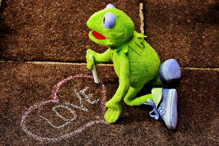 Kermit frog heart photo