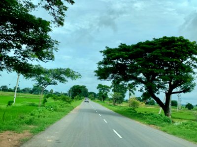 Palampet village and nearby farmlands, Telangana India - 2