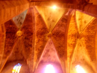 Palma de Mallorca Catedral La Seu Innen Gewölbe 5