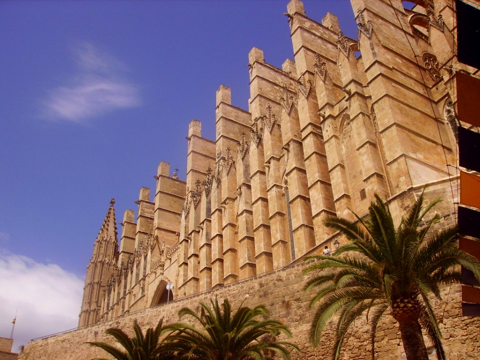 Palma de Mallorca Catedral La Seu 14