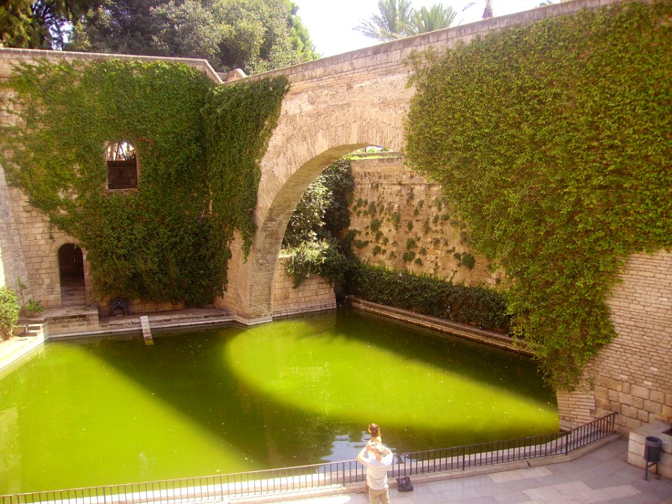 Palma de Mallorca Wasserbecken