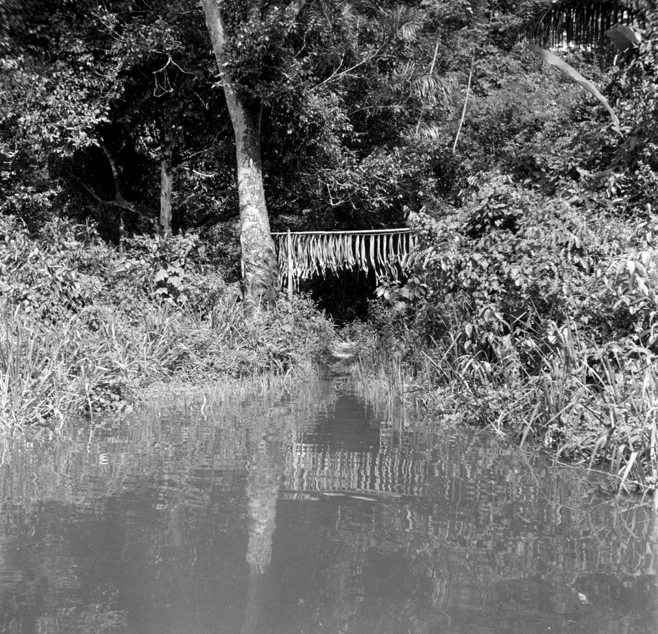 Palmbladreep over de rivier die het boslandcreooldorp Wakibasoe tegen boze geest, Bestanddeelnr 252-5831