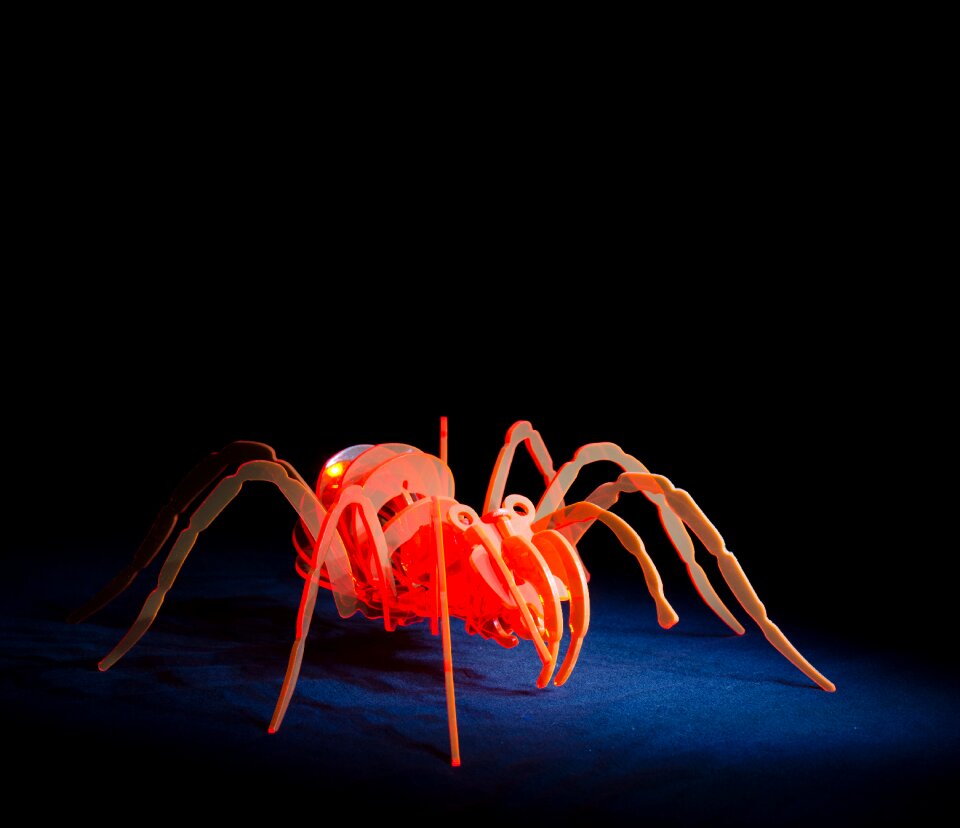 Spider acrylic light painting
