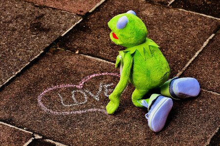 Kermit frog heart photo