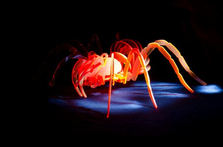 Spider acrylic light painting photo
