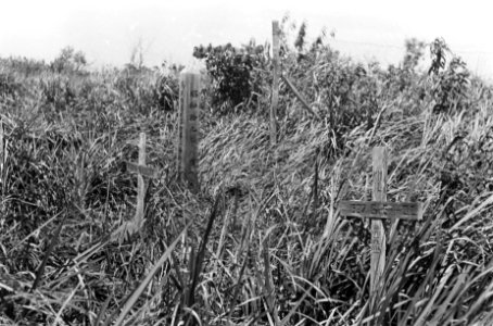 Palembang Geheel verwaarloosd werd door onze troepen het kerkhof aangetroffen, , Bestanddeelnr 337-2-3