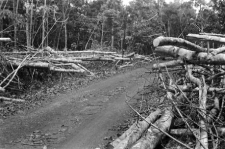 Palembang Bij de terugtocht liet de TNI wegversperringen achter, waarvoor het m, Bestanddeelnr 338-3-5