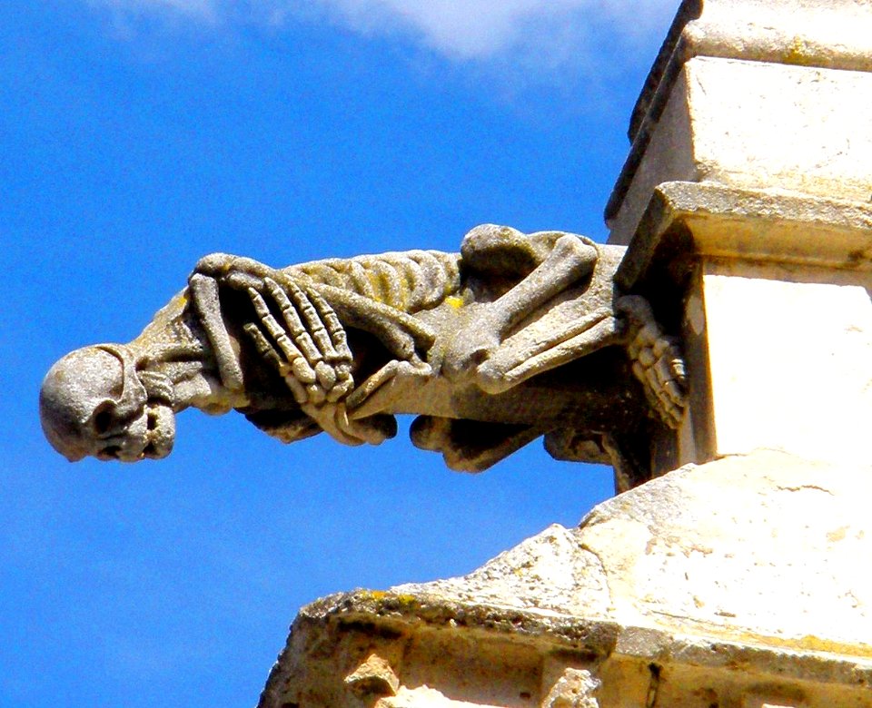 Palencia - Catedral 08 - Gargolas