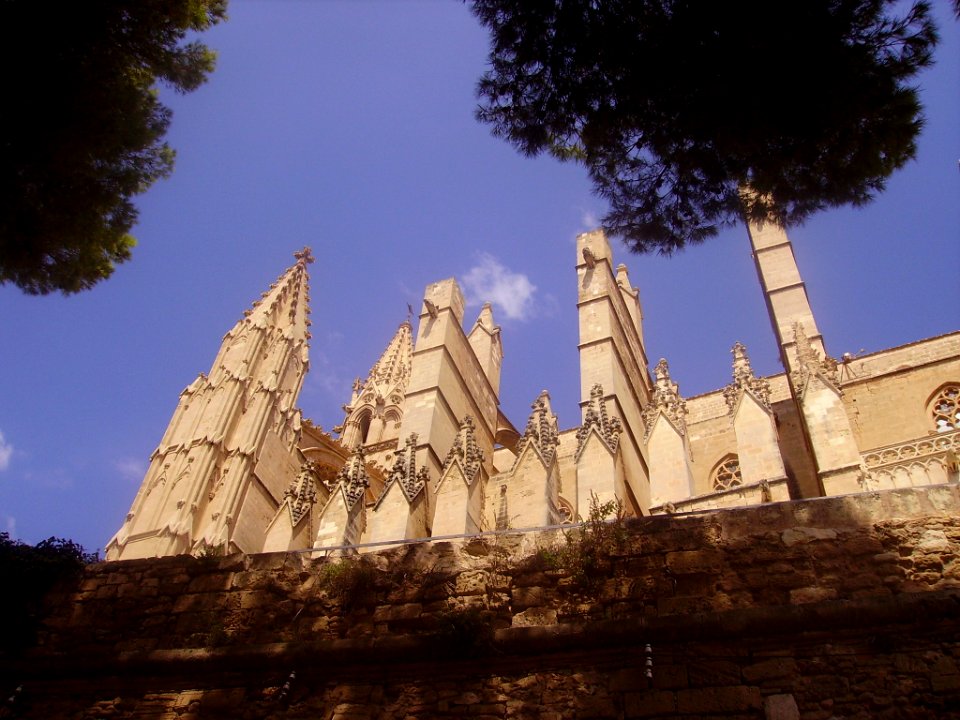 Palma de Mallorca Catedral La Seu Strebebögen 2