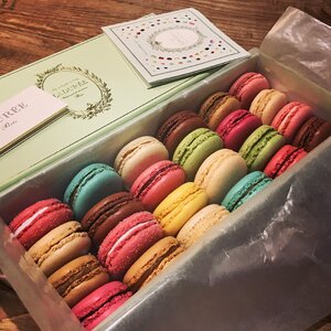 Macaron colourful cookies