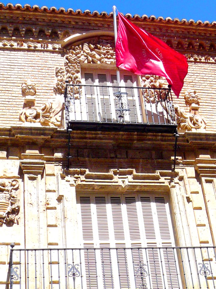 Palencia - Casa de los Junco 03