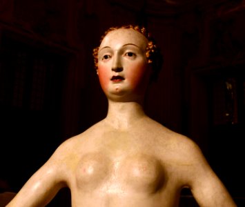 Palazzo Madama Turin Carubina di Mence Romano Alberti il Nero 23072015 2