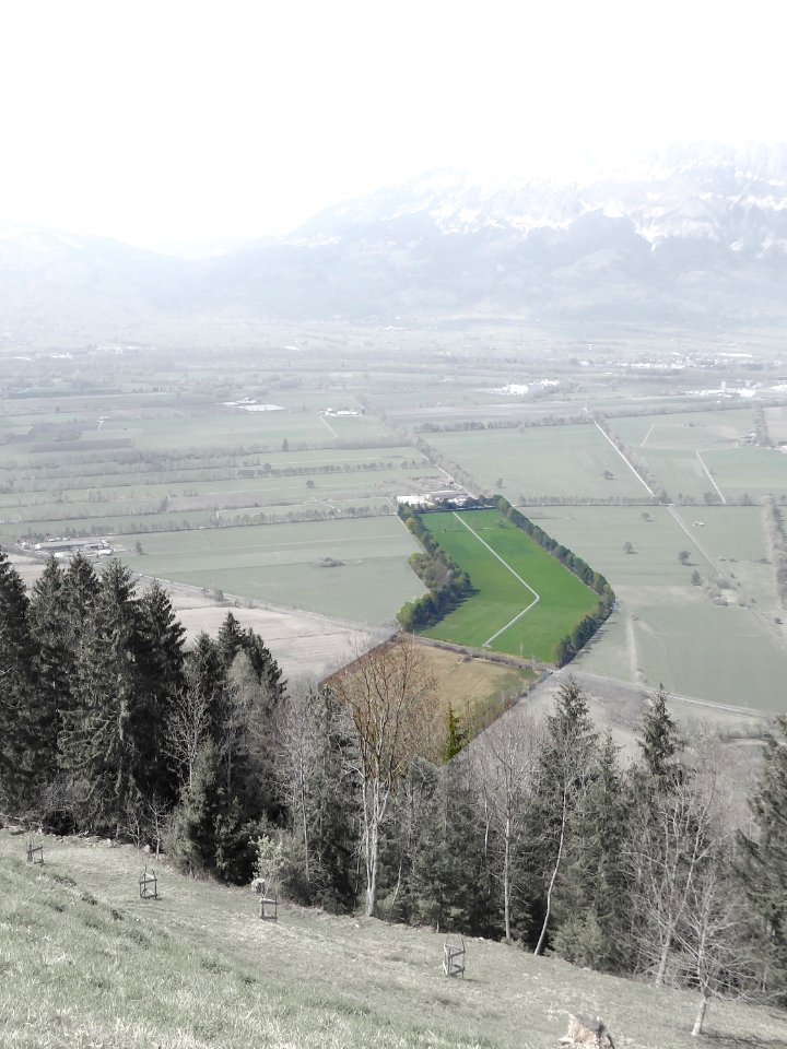 Planken Exklave Riet-Äscher