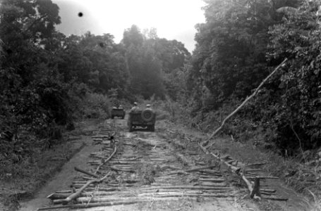 Palembang bezoek van de Amerikaanse militaire waarnemers aan het gebied van de , Bestanddeelnr 3733