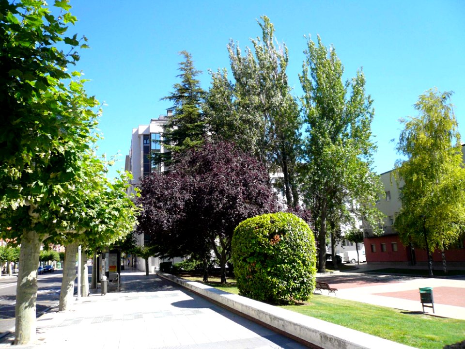 Palencia - Avenida de Valladolid 07