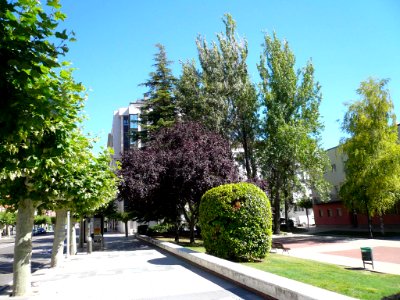 Palencia - Avenida de Valladolid 07