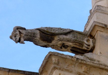 Palencia - Catedral 11 - Gargolas