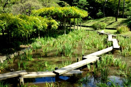 Plank bridge - Koishikawa Korakuen - DSC09252