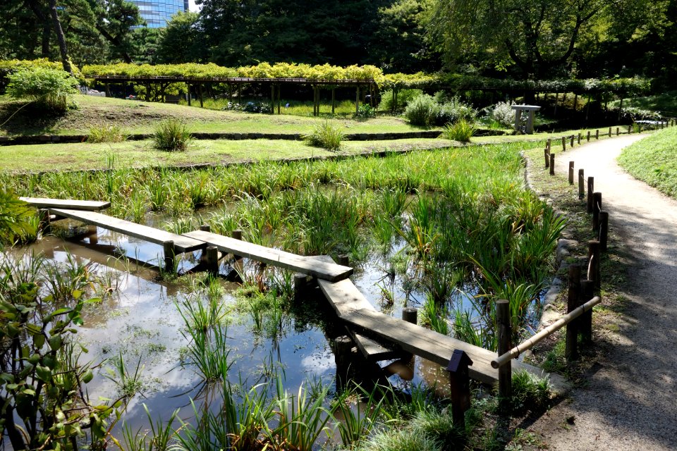 Plank bridge - Koishikawa Korakuen - DSC09249