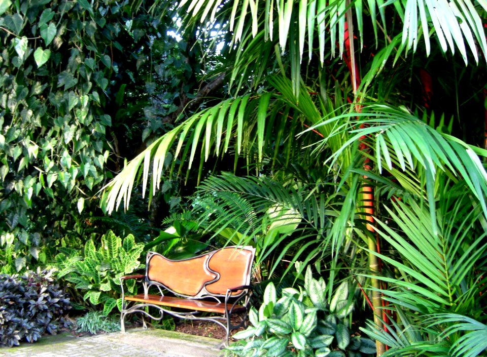 Plant 5b