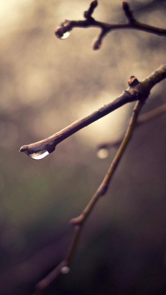 Serenity quiet simple and elegant