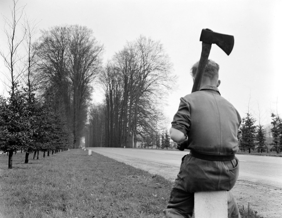 Plannen tot opruiming Middachterallee, Bestanddeelnr 907-5043