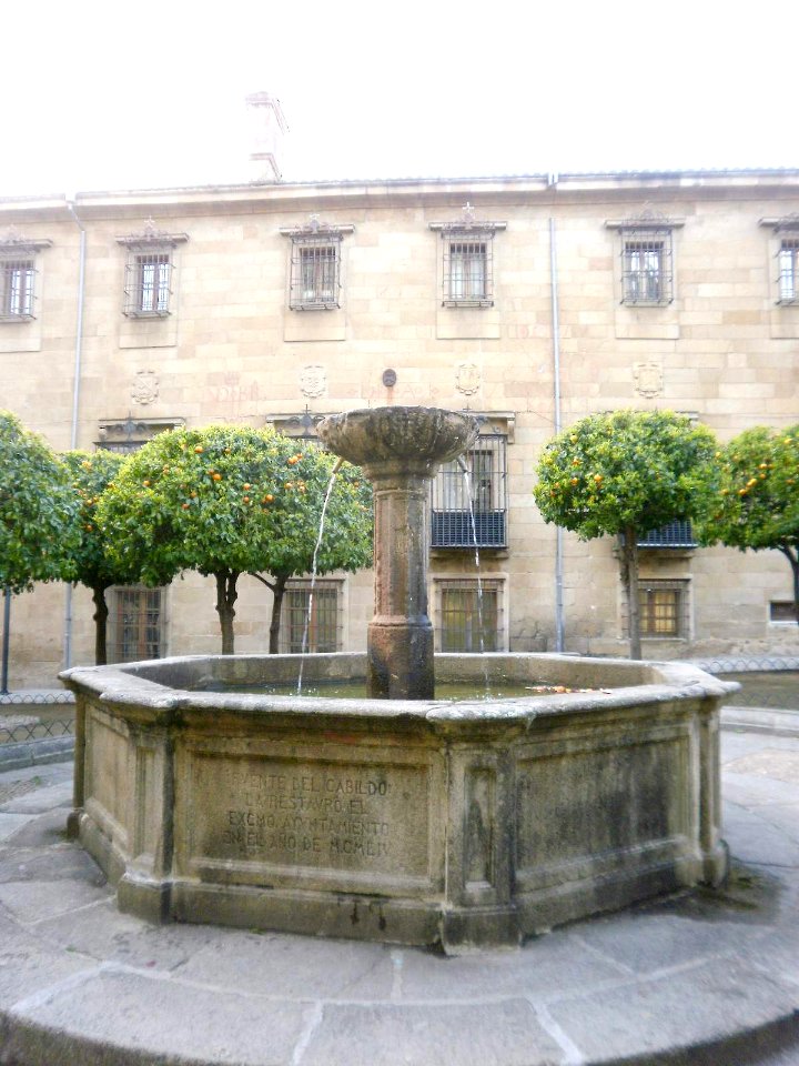 Plasencia - Plaza de la Catedral y fuente del Cabildo 2