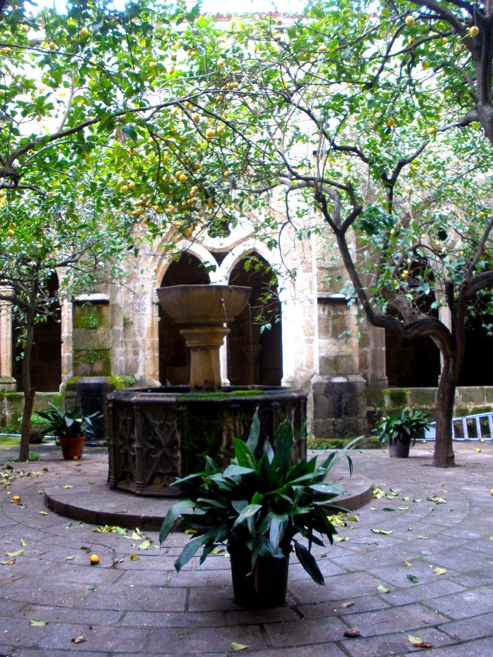 Plasencia - Catedral Vieja, claustro 03