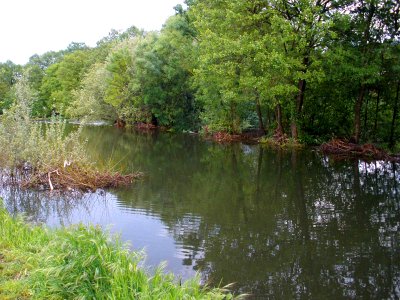 Plasencia - rio Jerte 06